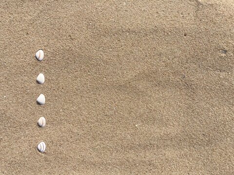 Seashells arranged as bullet points in sand on beach