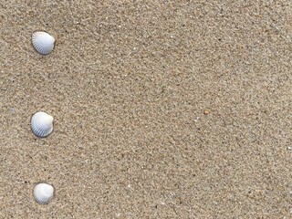 Aufkleber - Seashells arranged as bullet points in sand on beach