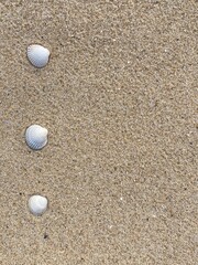 Aufkleber - Seashells arranged as bullet points in sand on beach