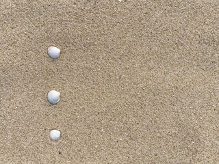 Aufkleber - Seashells arranged as bullet points in sand on beach