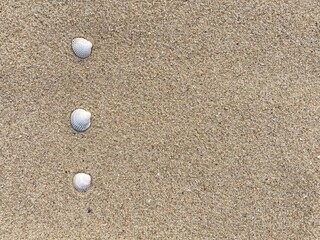 Aufkleber - Seashells arranged as bullet points in sand on beach