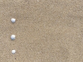 Aufkleber - Seashells arranged as bullet points in sand on beach