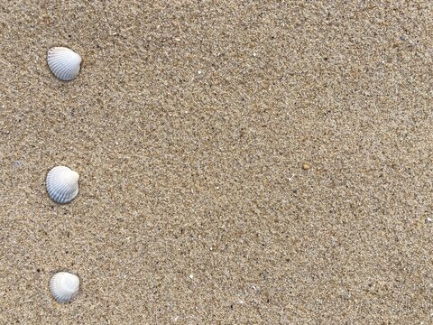 Seashells arranged as bullet points in sand on beach