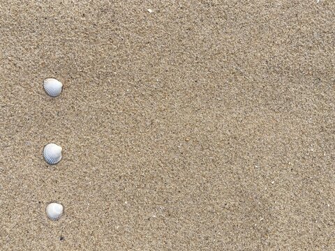 Seashells arranged as bullet points in sand on beach