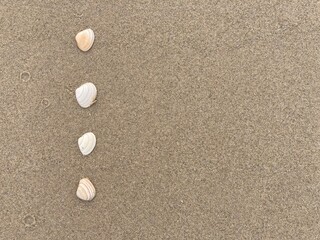 Aufkleber - Seashells arranged as bullet points in sand on beach