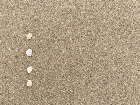 Seashells arranged as bullet points in sand on beach