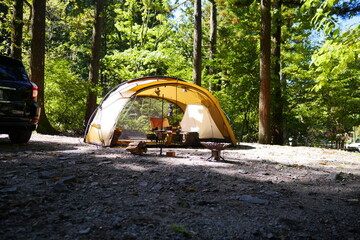 Wall Mural - camping in the forest