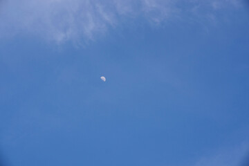 Wall Mural - waning moon visible in the morning
