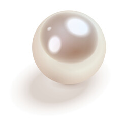 Poster - White pearl with shadow, 3d icon  illustration.
