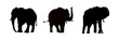 Zestaw sylwetek słonia , słoń - ilustracja wektorowa