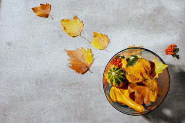 Wall Mural - autumn flat lay on concrete background with pumpkins