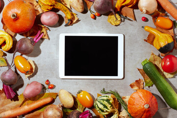 Wall Mural - autumn flat lay on concrete background with pumpkins