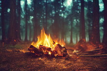 Burning Fire In The Forest. Beautiful Landscape Of Nature. And Trees. Sparks And Flames. Rest By The Fire. Camping In The Woods