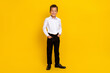 © deagreez - Full size photo of cheerful satisfied boy put hands pockets toothy smile isolated on yellow color background
