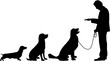 a man training dogs, png file
