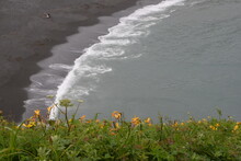 Lilies Black Sand And Coastal Waves