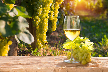 Wall Mural - White wine with barrel on famous vineyard in Chianti, Tuscany, Italy. High quality photo