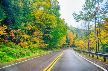 Canvas Print - Road across the forest in foliage season on a rainy day