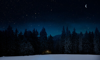 Wall Mural - Blockhütte mit einem Weihanchtsbaum in einer Winternacht