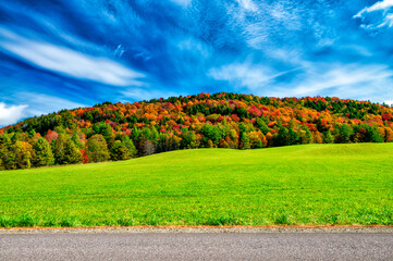 Sticker - Road of New England in foliage season, USA