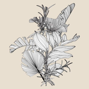 Vintage floral composition with line exotic plant and leaves on white. Romantic design for natural cosmetics, perfume, women products. Can be used for greeting card, wedding invitation.