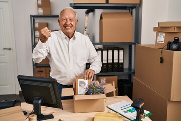 Canvas Print - Senior man with grey hair working at small business ecommerce screaming proud, celebrating victory and success very excited with raised arms