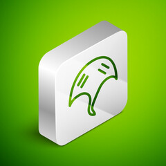 Wall Mural - Isometric line Stingray icon isolated on green background. Silver square button. Vector.