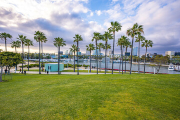 Wall Mural - Palms at the harbor 