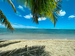 Wall Mural - Tropical Island Beach with coconut in Hawaii