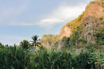 Wall Mural - landscape with blue sky