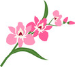Cartoon botanic garden plant flower pink orchid
