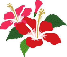 Wall Mural - Cartoon botanic garden plant flower red hibiscus