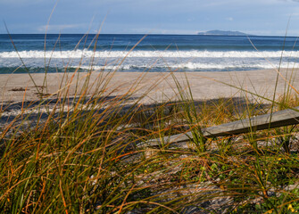 Poster - Ocean-view beyond marram grass on beach.