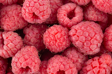 Wall Mural - Fresh and sweet raspberries background