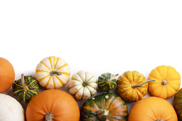 Sticker - Pumpkins on white background