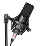 Fototapeta  - Black studio Microphone. Modern mic on a stand