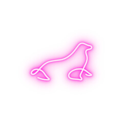 Poster - Monk seal one line neon icon