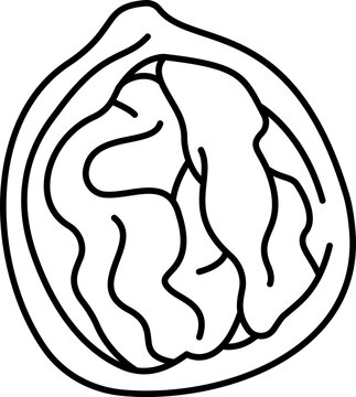 walnut icon