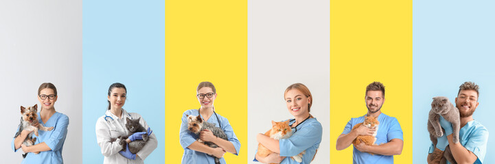 Sticker - Set of veterinarians with pets on color background