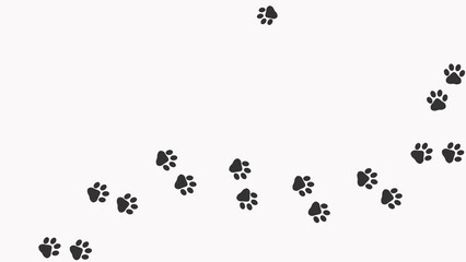 Wall Mural - Animal paw prints. Cartoon comic funny paws along the path. Footprints walking animal on a trajectory of movement. Animation of  Paw trail prints of cat  on white background. 4K.  Video