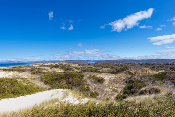 Poster - Peron Dunes in Akaroa Tasmania Australia