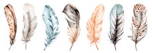 Bird Feather Set, Watercolor Boho Illustration. Hand Drawn. Suitable For Poster Design, Print, Sublimation.