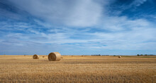 Round Straw Bales In A Wheat Field Near The Town Of Okotoks, Alberta