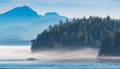 © RooM The Agency - Foggy Morning coastal landscape in the North Pacific, British Columbia, Canada