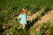 © Volodymyr - Baby playing in green grass. Child having fun on family picnic in summer garden. Baby on corn farm field, outdoors. Child having fun with farming and gardening of vegetable, harvest. Small farmer.