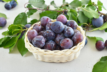 Wall Mural - Fresh plums in the basket