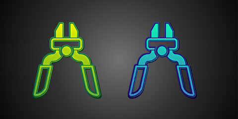 Poster - Green and blue Pliers tool icon isolated on black background. Pliers work industry mechanical plumbing tool. Vector