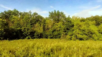 Wall Mural - View from the railway car to the landscape passing outside the train window