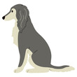 Simple and adorable Saluki dog illustration sitting in side view flat colored