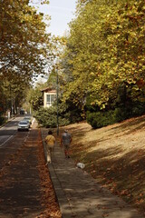 Wall Mural - Autumn in an urban park